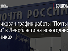 Опубликован график работы "Почты России" в Ленобласти на новогодних праздниках
