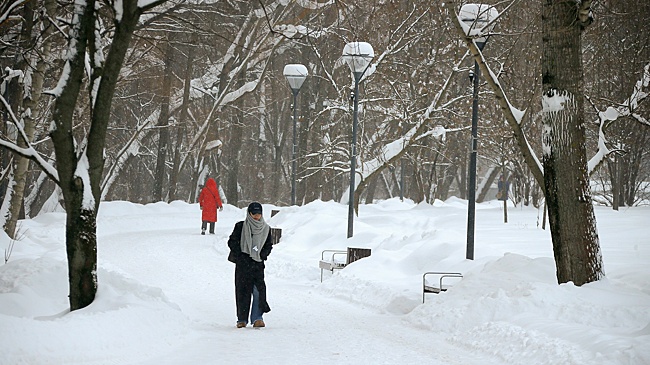 Синоптик Леус рассказал, где в европейской России выросли самые большие сугробы