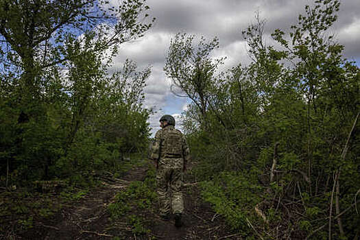 Артиллерия РФ разогнала по лесу боевиков ВСУ, уцелевших после удара гаубицы Д-30