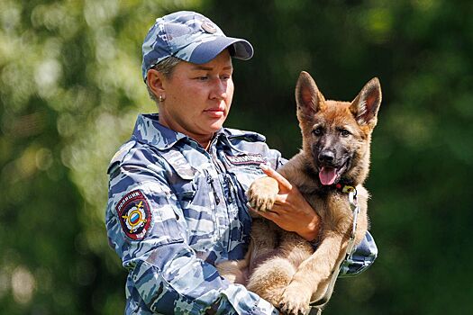 Дрессировка служебных собак и командная викторина: программа заключительных дней форума-фестиваля «Москва 2030» в парке искусств «Музеон»