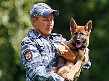Дрессировка служебных собак и командная викторина: программа заключительных дней форума-фестиваля «Москва 2030» в парке искусств «Музеон»