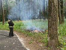 Неизвестные подожгли парк в Прокопьевске