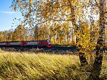 Пассажиропоток на МЖД вырос на 5,5% в январе – сентябре