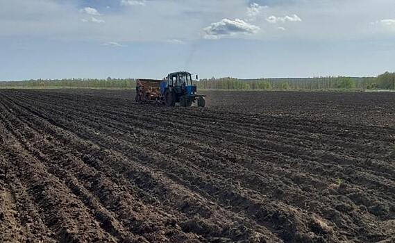 Урожайные сорта картофеля и правильная агротехника – залог производства «второго хлеба» в Пензенской области