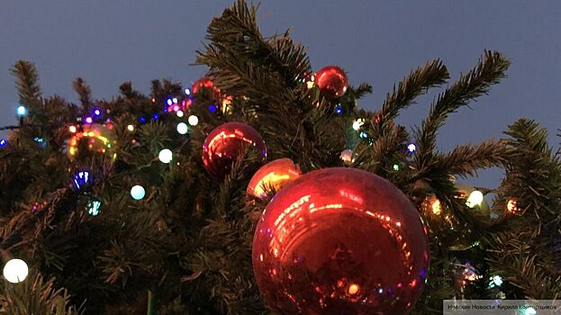 Крым и Карелия стали популярными направлениями для отдыха на Новый год