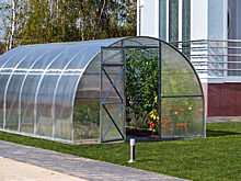 На заметку дачнику: лучшие парники и теплицы из поликарбоната с описанием размеров и ценой