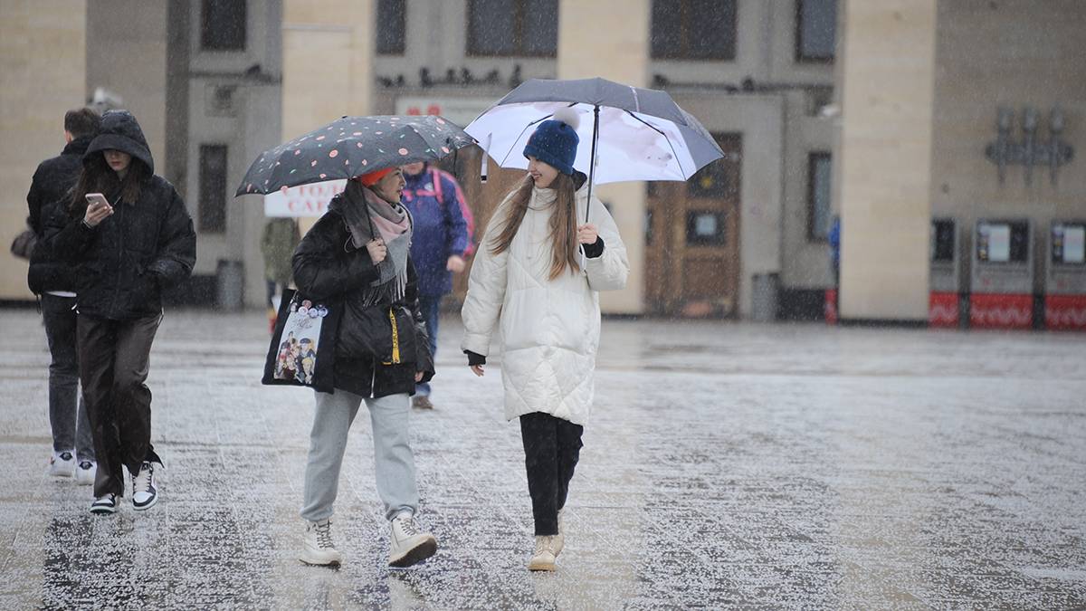 Прогноз погоды: Москвичей в четверг ожидает облачная погода и небольшой дождь