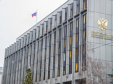 Комитет Совфеда поддержал закон о самозанятых