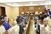Парламентарии обсудили с Галиной Данчиковой продвижение законодательных инициатив в Государственной