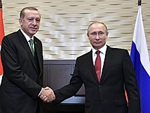 Помидоры дружбе не помеха