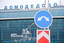 Застрявшие в Домодедово россияне устроили давку в аэропорту