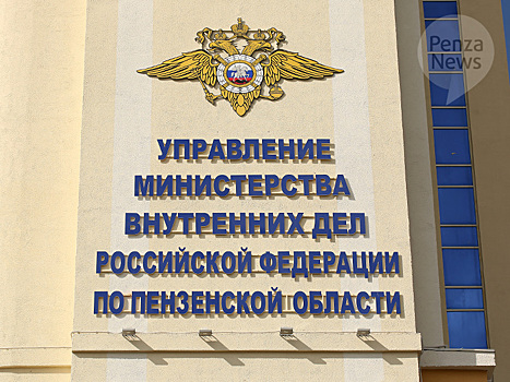Пензенская полиция подвела итоги работы по охране общественного порядка в новогоднюю ночь