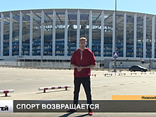 Нижегородские спортивные команды возвращаются к тренировкам