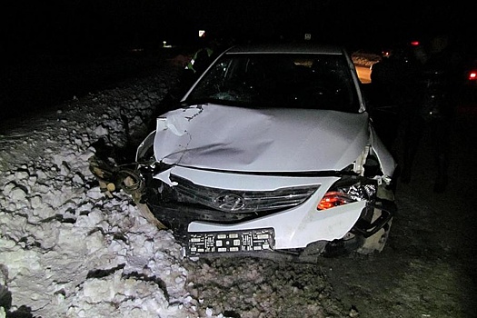 Смертельная авария на трассе в Башкирии: иномарка протаранила запряженную телегу