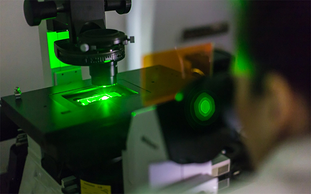 Флуоресцентный микроскоп научили автоматически настраиваться -  Рамблер/новости