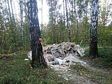 Свалку бытовых отходов в лесополосе на Сортировке утилизировали