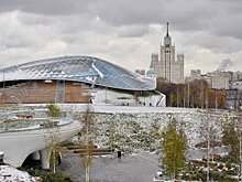 В Москве израсходовали 10% от обычного объема реагентов