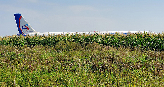 ЧП с самолетом: Владелец поля пожаловался на убытки