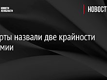 Эксперты назвали две крайности пандемии