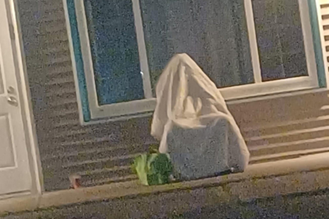 харагучи дрифтер. попытался скрыться. 2021. гибдд пьяный водитель. леонардо ди каприо скрывается от папарацци.