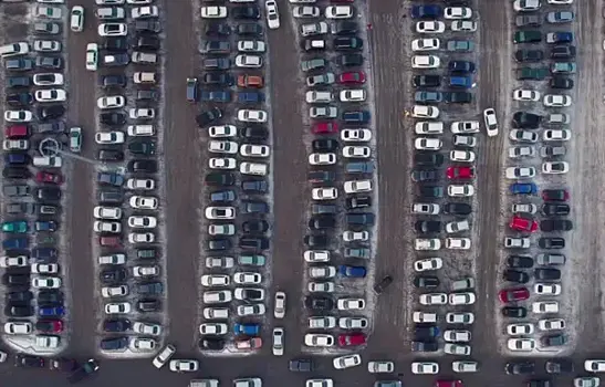 Едут за горошком: в самарских ТЦ начался новогодний ажиотаж