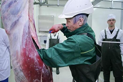 Мясо оленей, забитых по законам шариата, поедет в Татарстан