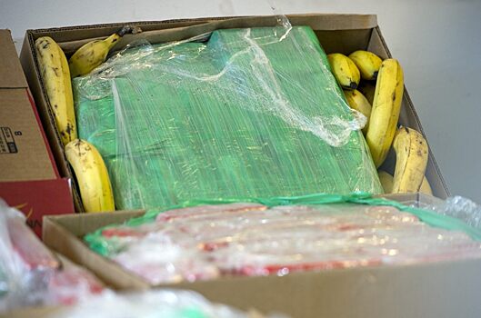 Экс-член комитета РФС по этике рассказал о необходимости внести бананы в список запрещенных предметов на стадионах