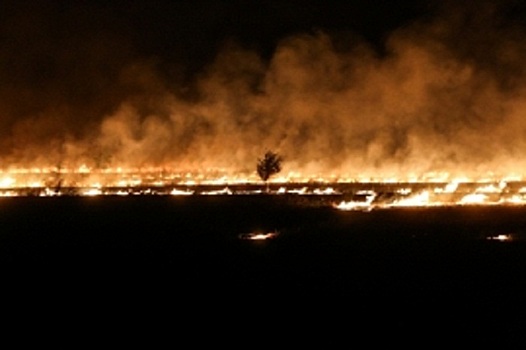 В нескольких районах Волгоградской области ожидается чрезвычайная пожароопасность