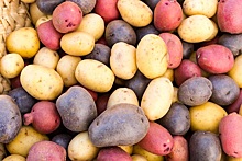 Роскачество: как выбрать безопасный и вкусный картофель