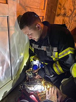 С начала года работники Пожарно-спасательного центра и Московского авиацентра порядка 550 раз выезжали для оказания помощи животным и птицам
