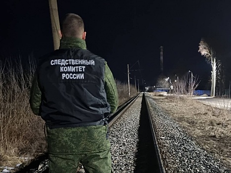 Мужчину насмерть сбила электричка в Нижегородской области