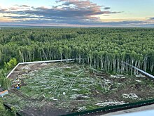 Судебный спор о челябинском лесе разрешится в следующем году