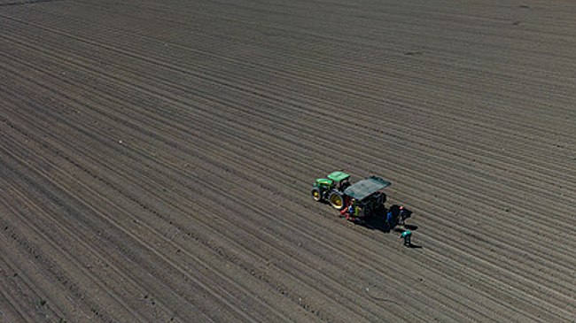 Еврокомиссар Шефчович: провал сделки с MERCOSUR грозит ЕС потерей авторитета