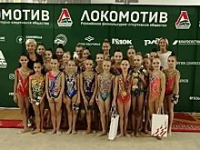 Карельские гимнастки завоевали три медали на Открытом Кубке общества "Локомотив"