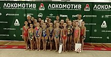 Карельские гимнастки завоевали три медали на Открытом Кубке общества "Локомотив"