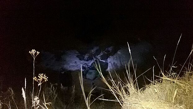 Под Камышловом мотоциклист слетел с высокого обрыва и погубил своего малолетнего сына