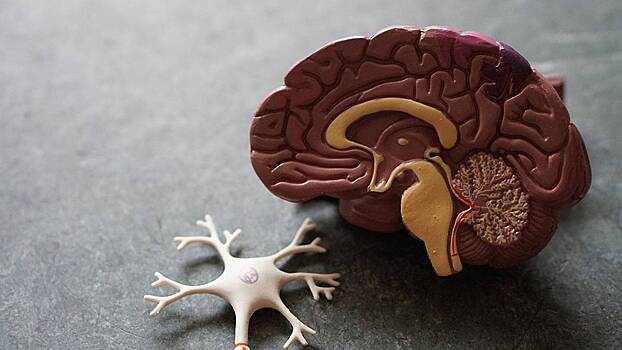 «Подозрительный симптом»: невролог Колесников назвал ранние признаки деменции