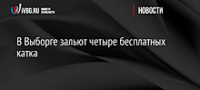 В Выборге этой зимой откроют четыре катка с бесплатным входом