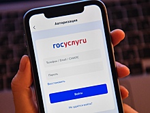 Новый сервис на Госуслугах поможет защитить данные от мошенников
