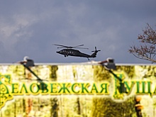 Беловежская пуща оказалась под угрозой из-за милитаризации Польшей