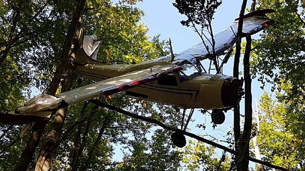 Безхозный легкомоторный самолет найден в кроне деревьев