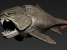 Чудища, жившие на Земле до динозавров