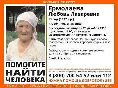 Орловцев просят помочь в поисках пропавшей бабушки