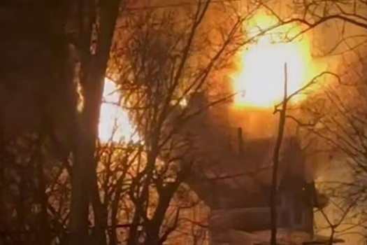 Выяснилась история зоопарка, горевшего во Владивостоке