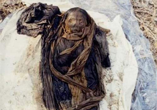 Ученые нашли паразитов в печени 375-летней мумии