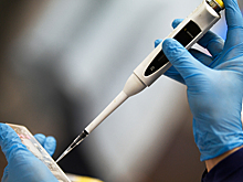 Бесплатные ПЦР-тесты стали доступнее