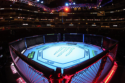 Томпсон подерется с Бонфимом на турнире UFC в Нэшвилле