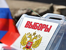 ЦИК: Досрочное голосование на выборах президента России пройдет в 45 странах