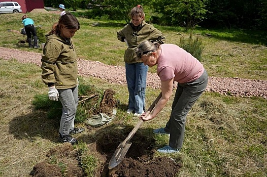В Приморье юные лесничие высадили сквер из краснокнижных деревьев
