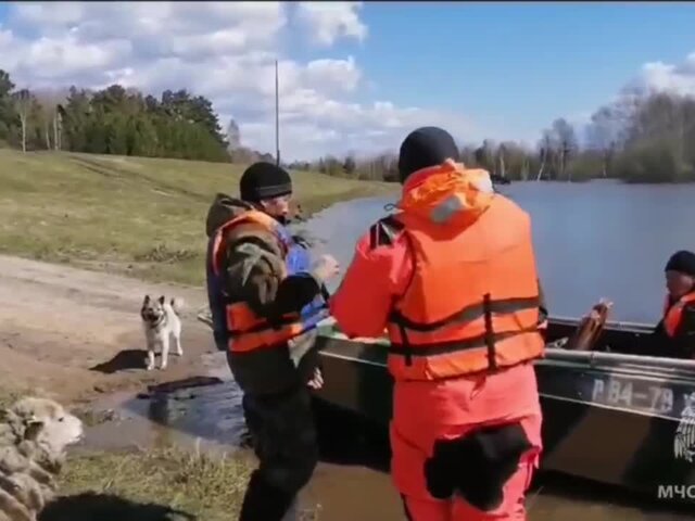 Почти 300 человек за сутки эвакуировали на севере Омской области из-за паводка